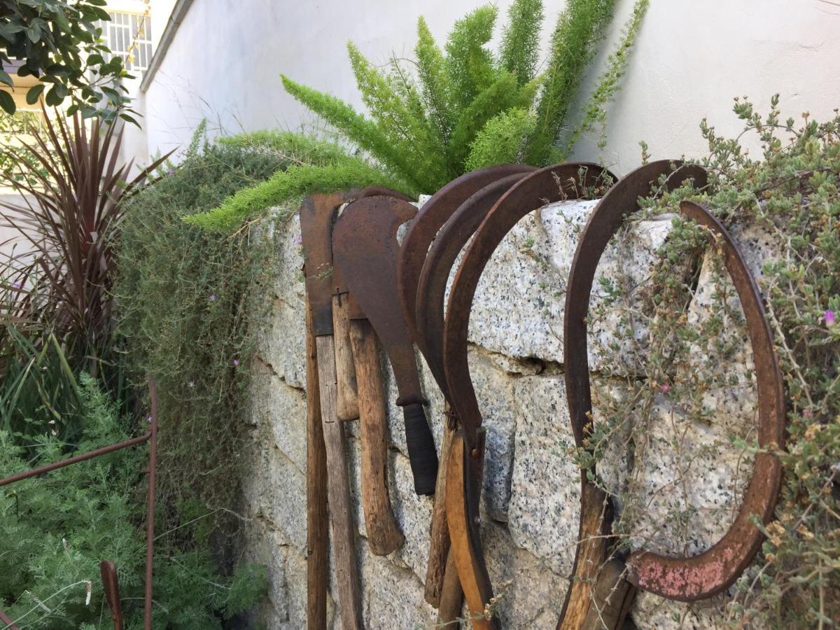 Lughia Bed and Breakfast Tortolì Εξωτερικό φωτογραφία
